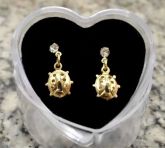 Brinco Banhado a Ouro 18k com Cristal Incolor